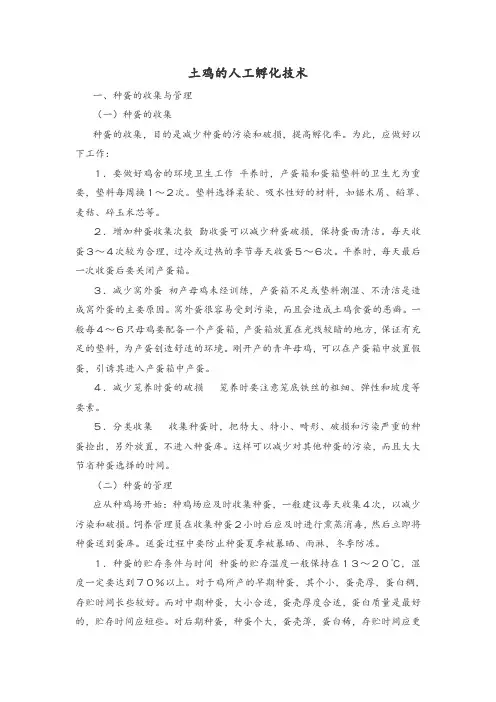 土鸡的人工孵化技术