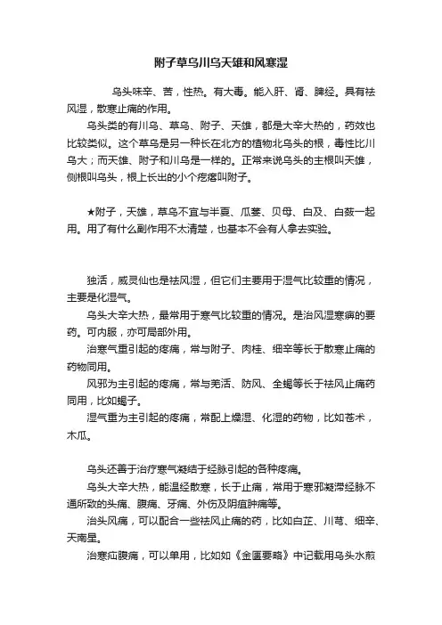 附子草乌川乌天雄和风寒湿