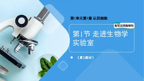 1.1.1走进生物学实验室 第2课时课件(共29张PPT)苏教版七年级生物上册