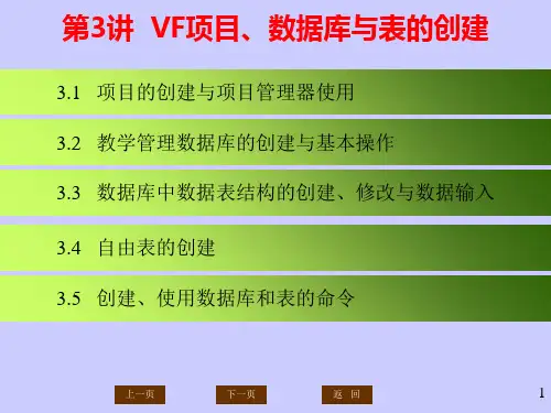 VFP课件第03讲PPT教学课件