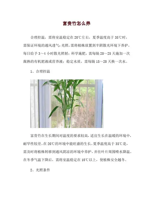 富贵竹怎么养