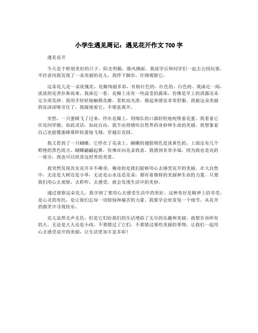 小学生遇见周记：遇见花开作文700字