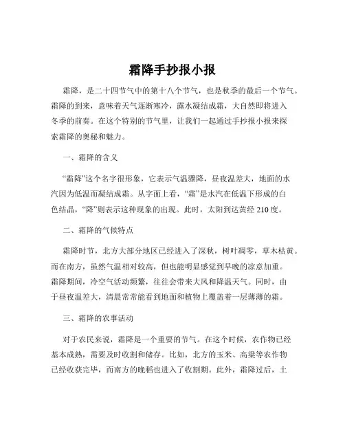 霜降手抄报小报