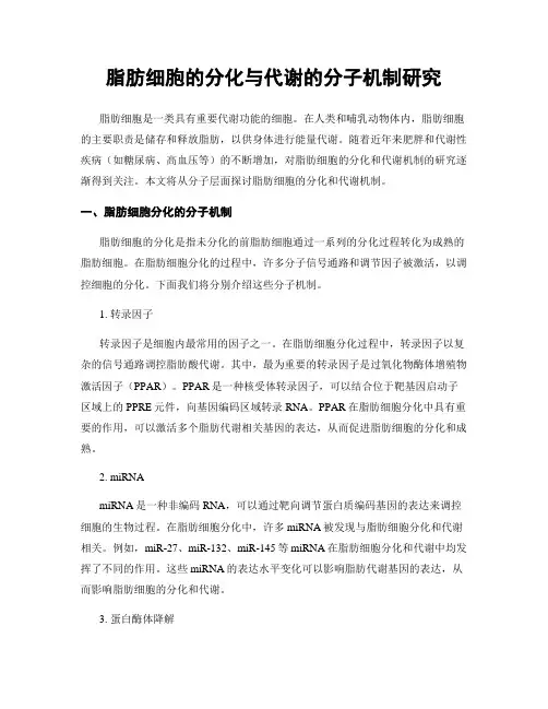 脂肪细胞的分化与代谢的分子机制研究