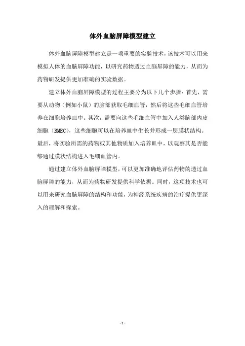 体外血脑屏障模型建立