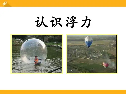 《认识浮力》浮力与升力PPT课件