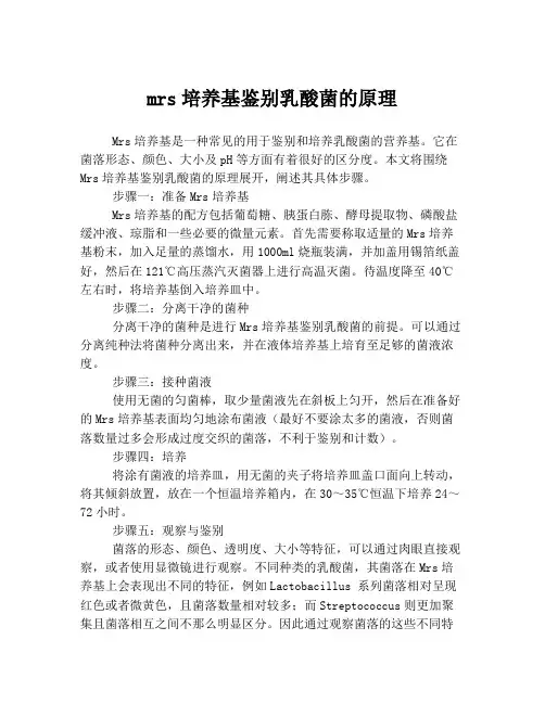 mrs培养基鉴别乳酸菌的原理