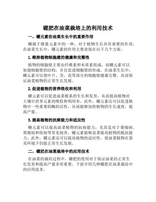 硼肥在油菜栽培上的利用技术