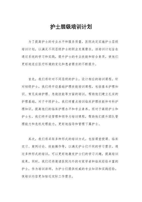 护士层级培训计划
