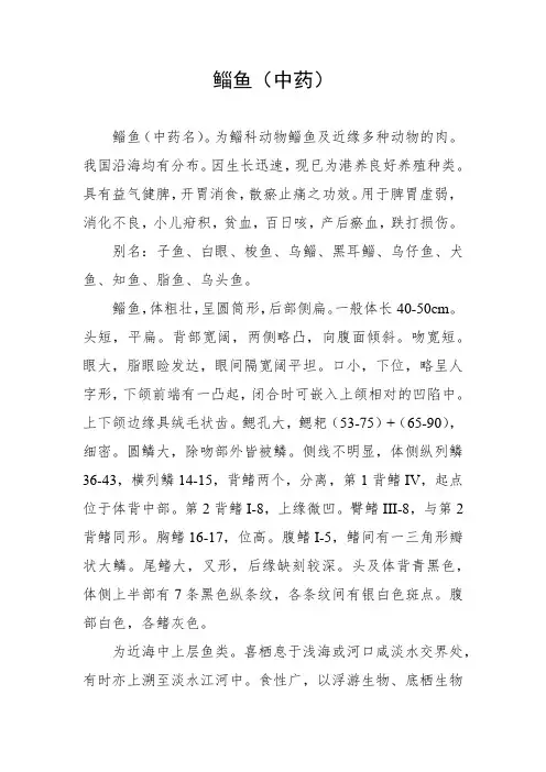 鲻鱼 中药