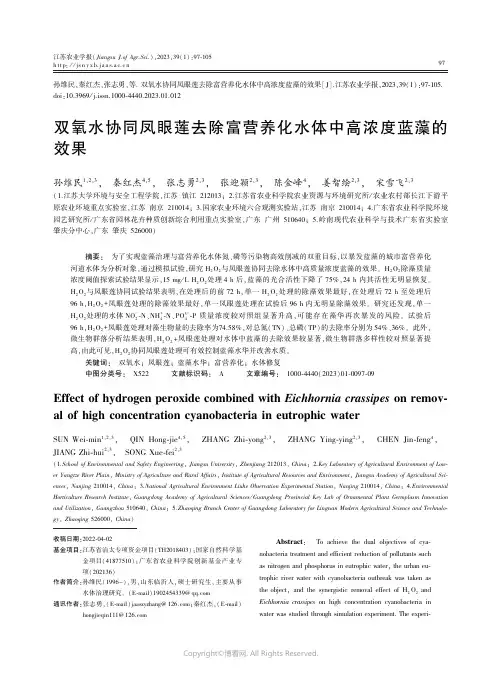 双氧水协同凤眼莲去除富营养化水体中高浓度蓝藻的效果