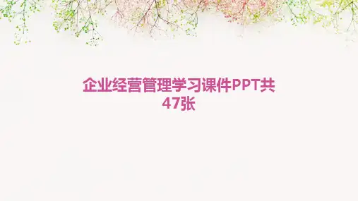 企业经营管理学习课件PPT共47张