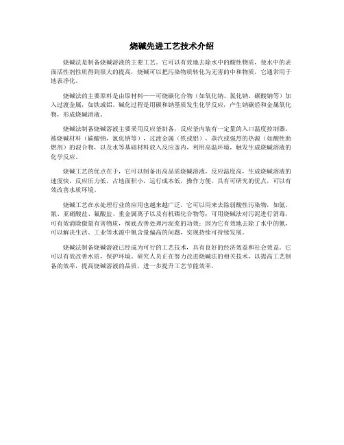 烧碱先进工艺技术介绍