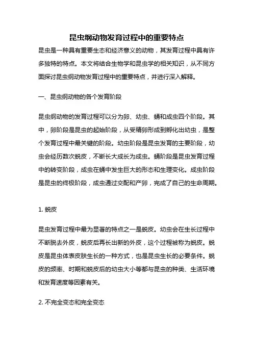 昆虫纲动物发育过程中的重要特点
