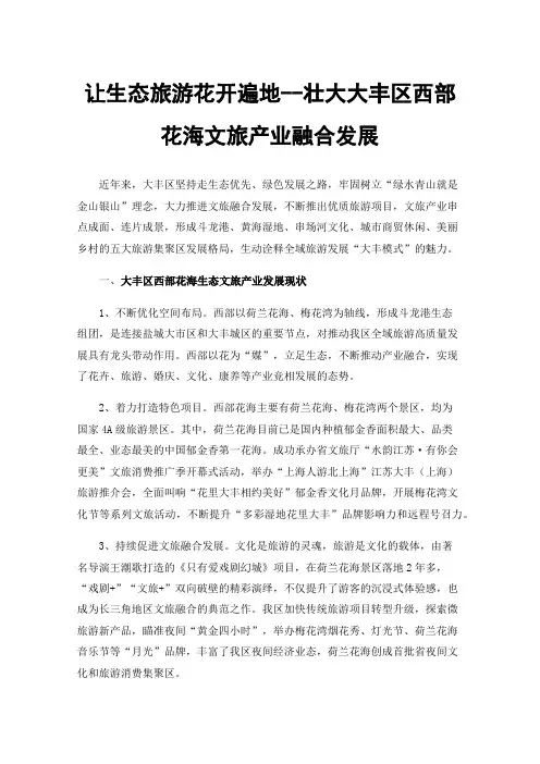 让生态旅游花开遍地--壮大大丰区西部花海文旅产业融合发展