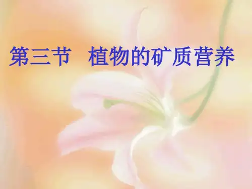 植物矿质元素PPT课件