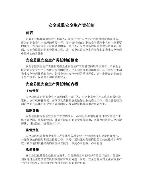 安全总监安全生产责任制