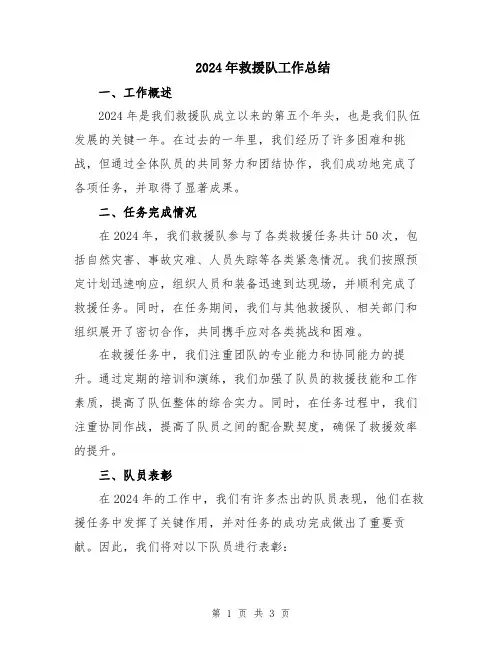2024年救援队工作总结