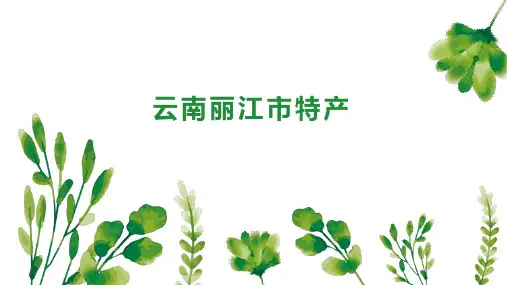 云南丽江市特产