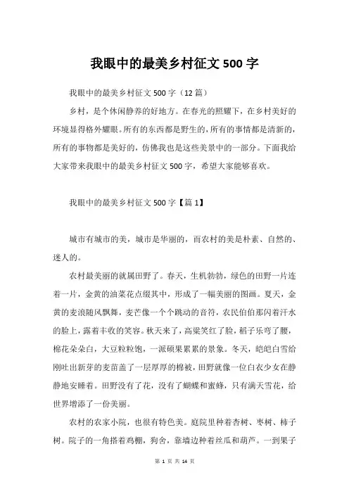 我眼中的最美乡村征文500字