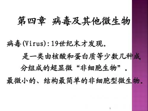 病毒及其他微生物
