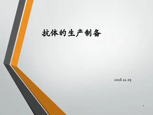 详细介绍抗体的生产制备ppt课件