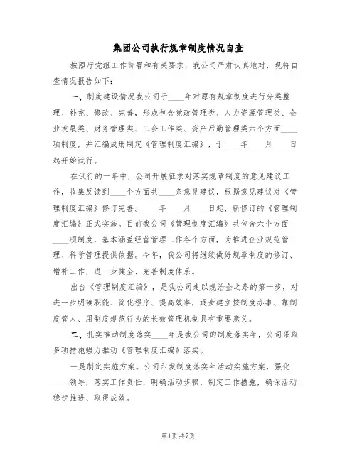 集团公司执行规章制度情况自查（3篇）