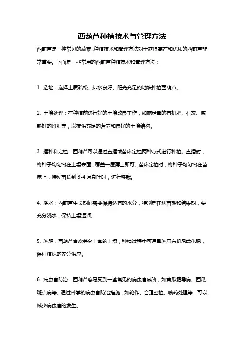 西葫芦种植技术与管理方法