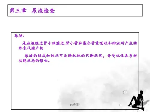 第三章尿液检查  ppt课件