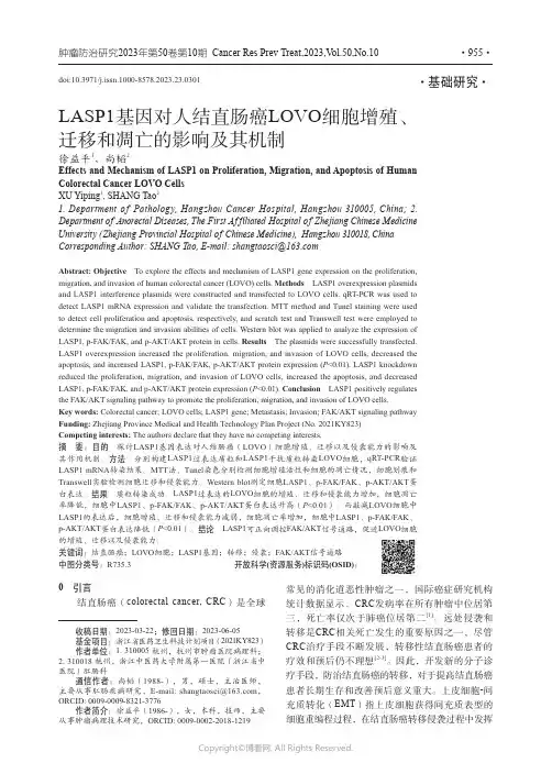 LASP1基因对人结直肠癌LOVO细胞增殖、迁移和凋亡的影响及其机制