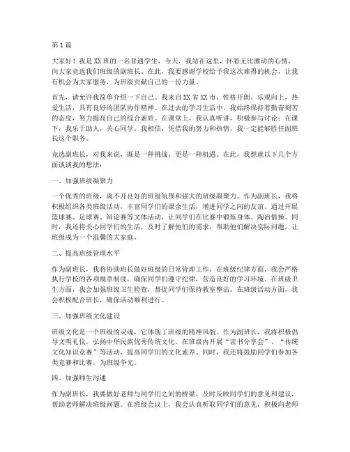 大学竞选副班长的演讲稿(3篇)