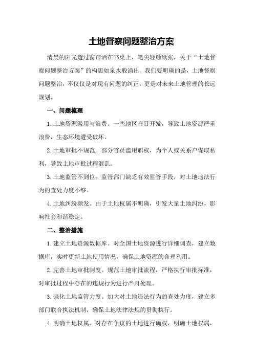 土地督察问题整治方案