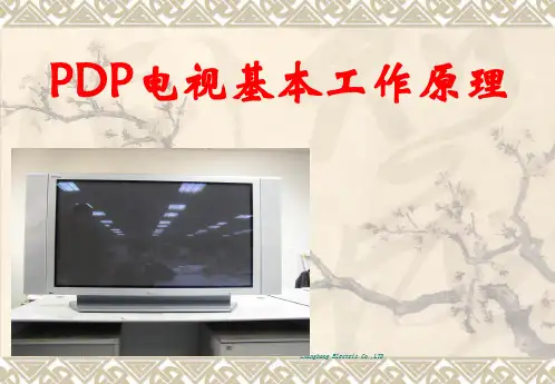 PDP基本原理培训解析