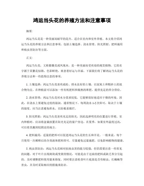 鸿运当头花的养殖方法和注意事项