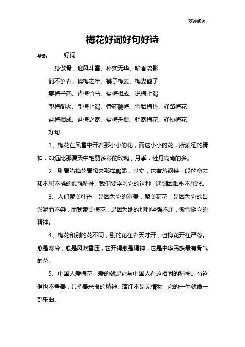 梅花好词好句好诗