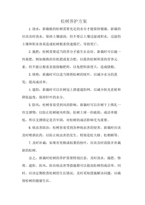 松树养护方案