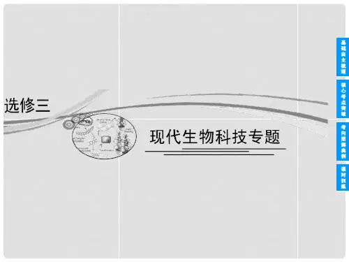 高考生物 第1讲 基因工程与蛋白质工程复习课件 新人教