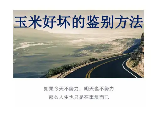 玉米好坏的鉴别方法？