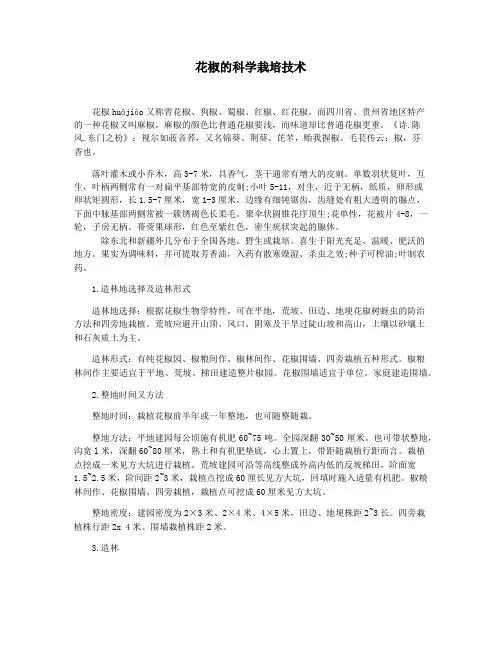花椒的科学栽培技术