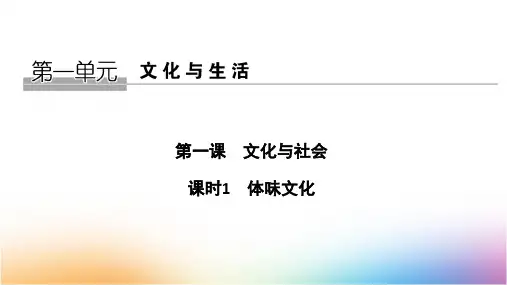 高中政治必修3优质课件：1.1 体味文化