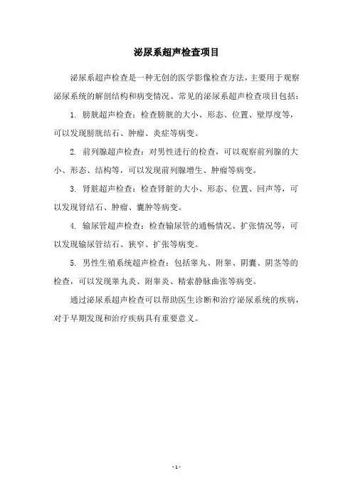 泌尿系超声检查项目