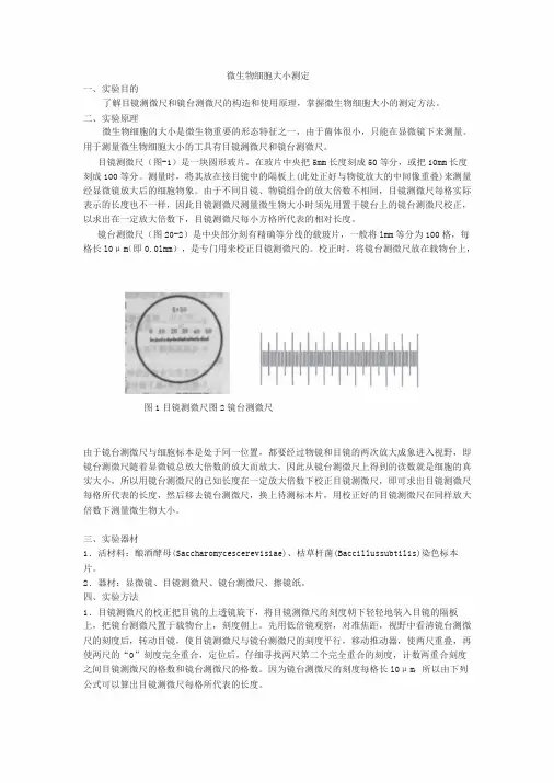 微生物细胞大小的测定方法