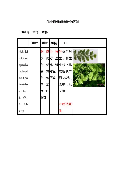 几种相近植物树种的区别
