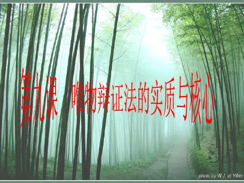 哲学第九课_矛盾试题整理_主次矛盾、矛盾主次方面关系综述资料.