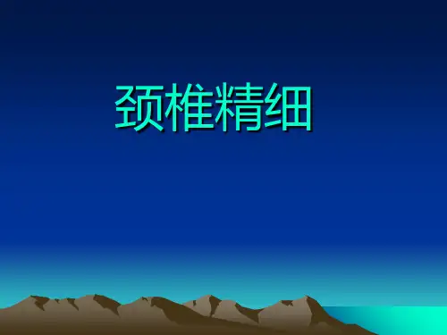 颈椎解剖ppt课件