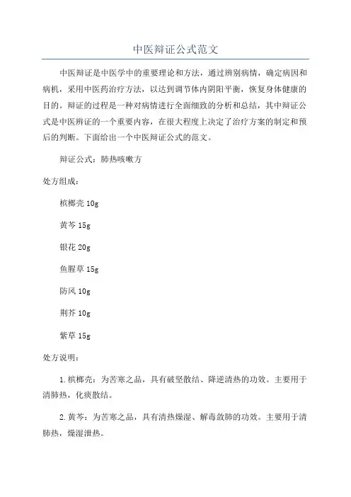 中医辩证公式范文