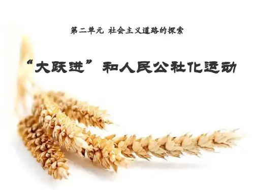 《“大跃进”与人民公社化运动》社会主义道路的探索PPT课件2(1)