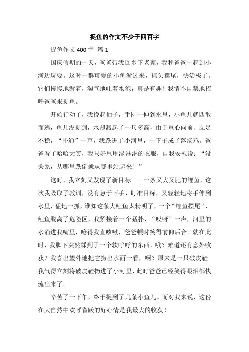 捉鱼的作文不少于四百字