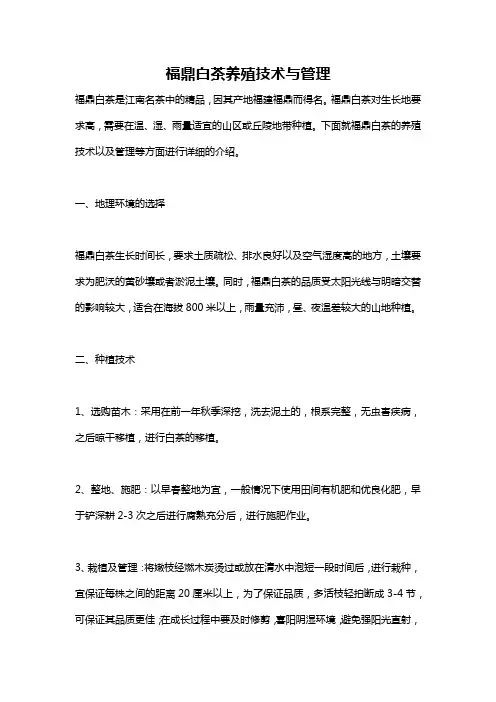 福鼎白茶养殖技术与管理