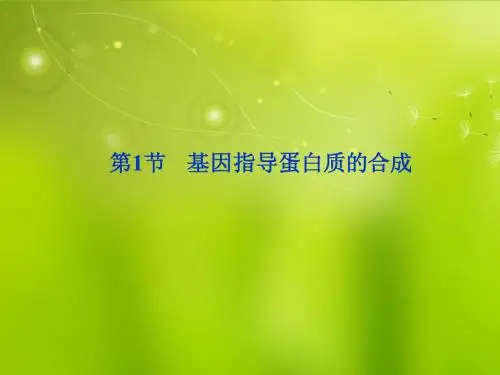 高中生物《第四章 第一节 基因指导蛋白质的合成》课件 新人教版必修2